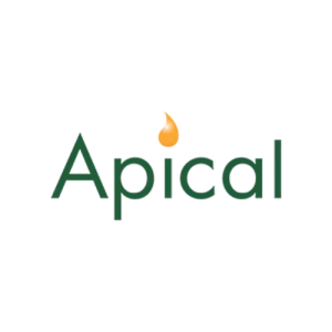 Logo Apical