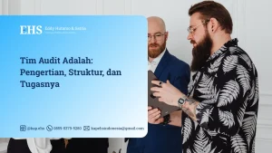 Tim Audit Adalah
