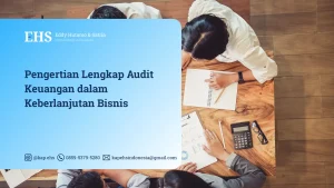 audit adalah