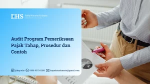 audit program pemeriksaan pajak