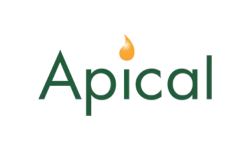 Logo Apical